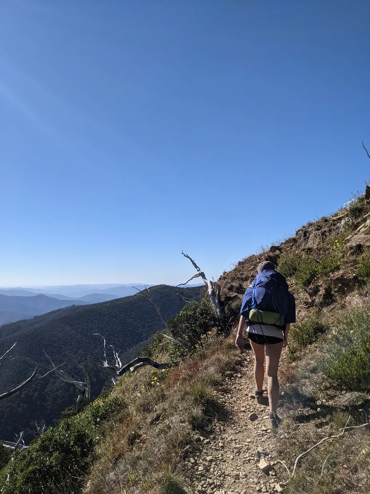 mt feathertop razorback track