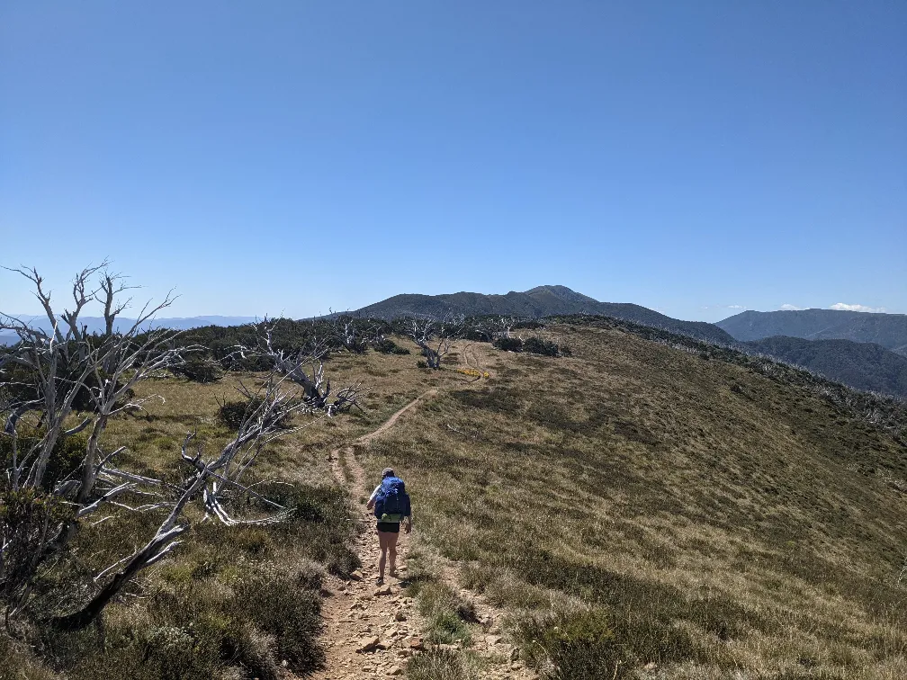 mt feathertop razorback track