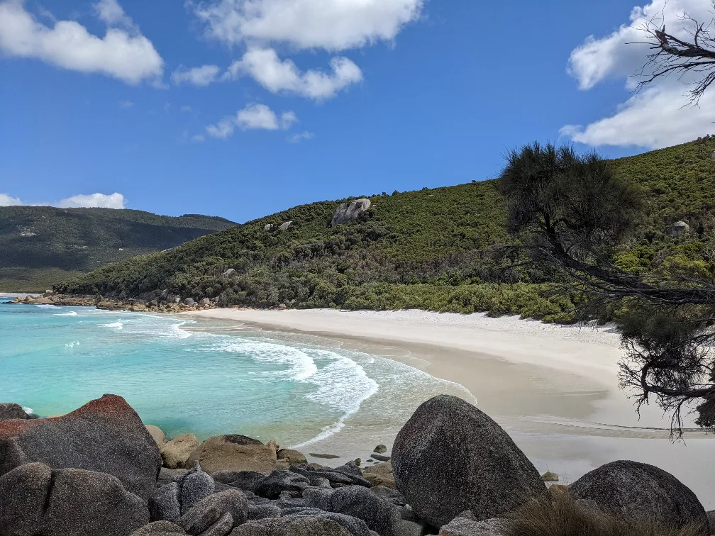 little waterloo bay